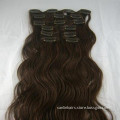 Remy Human Hair Clips in Hair Extensions